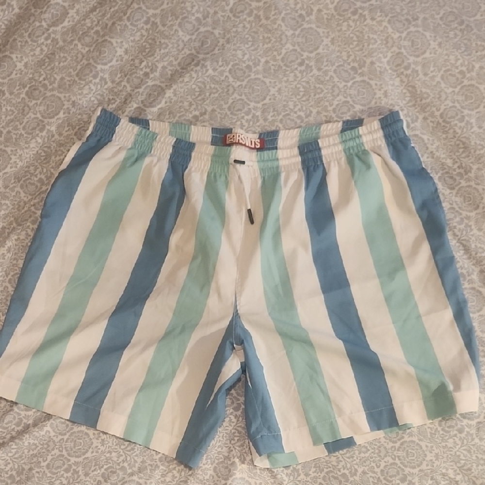 Men's Blue and White Striped Swim Shorts